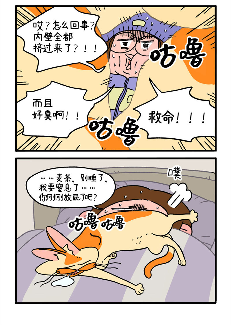 第11话2 感冒3