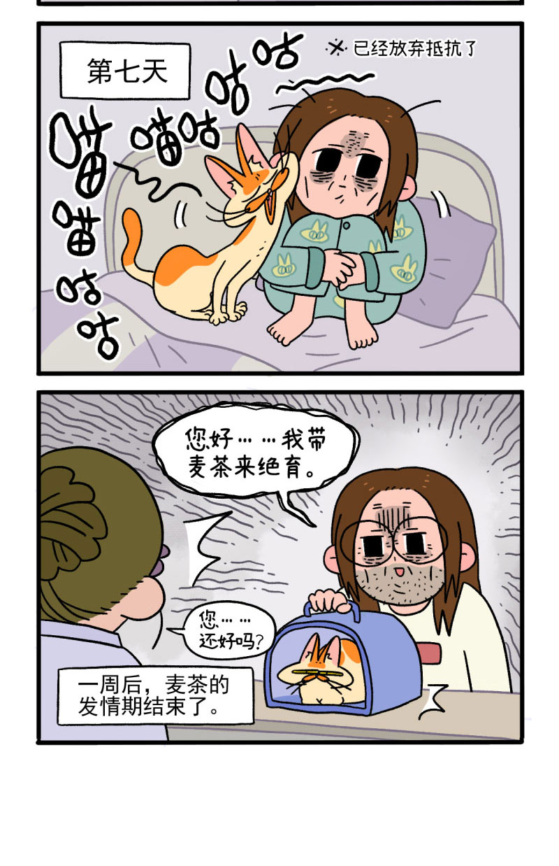 第12话2 夜间噪音4