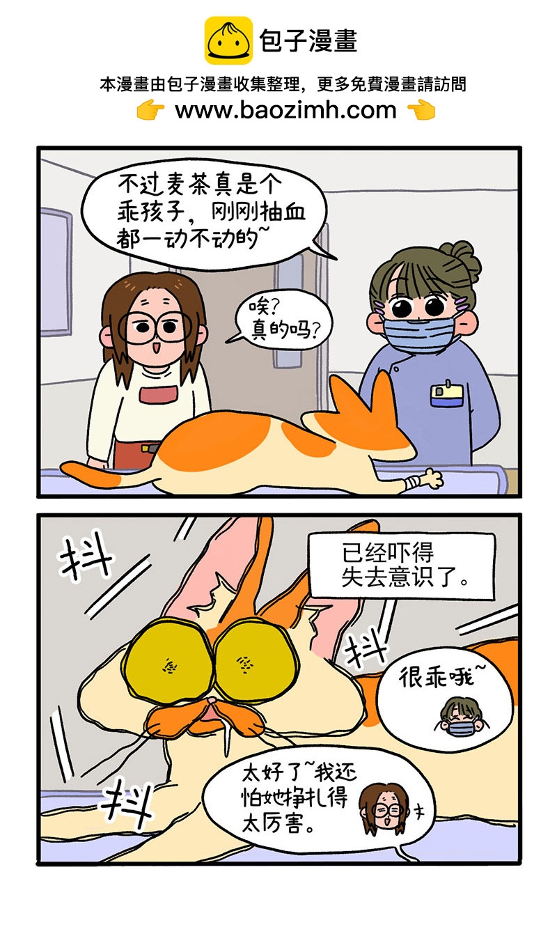 第13话2 要做手术了1