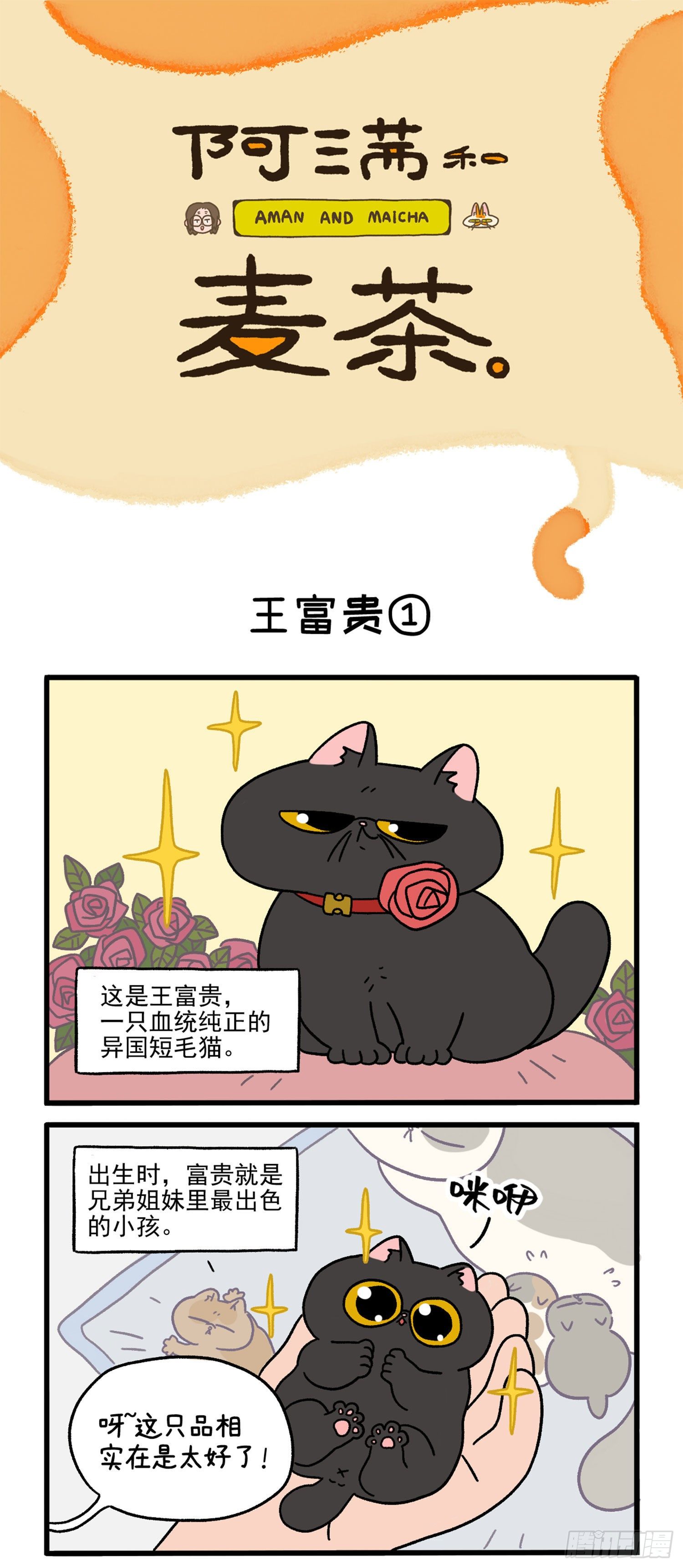 第15话 王富贵0