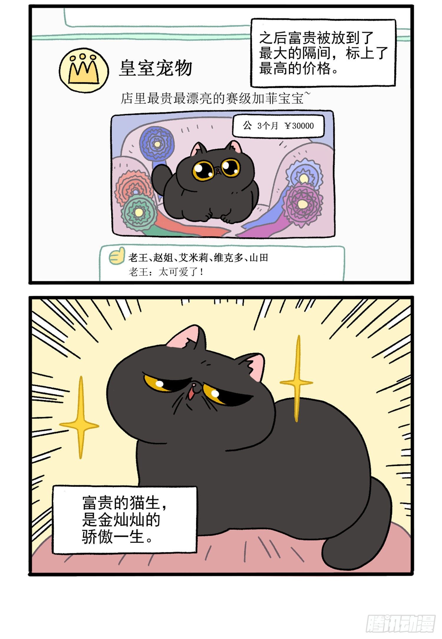 第15话 王富贵1