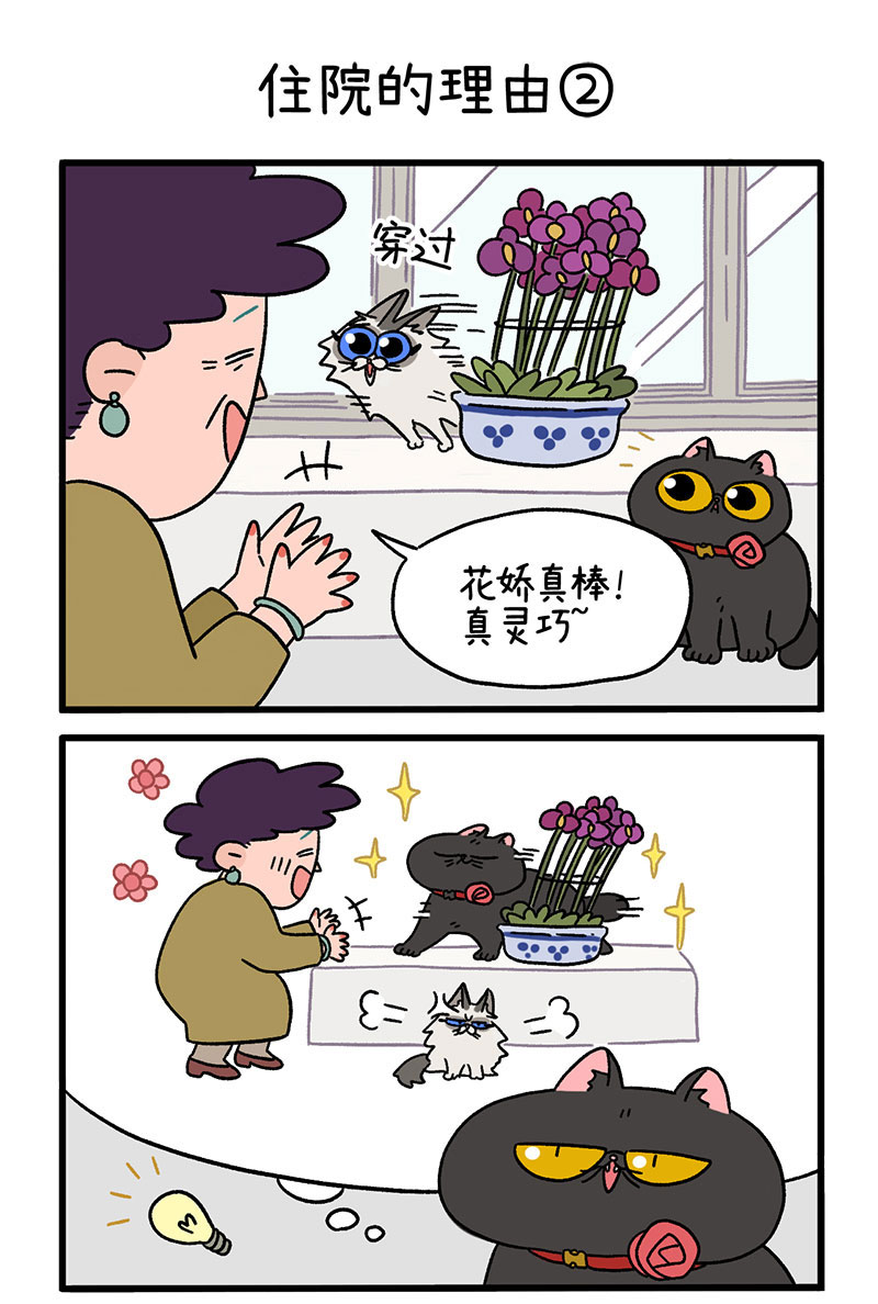 第16话1 住院的理由2