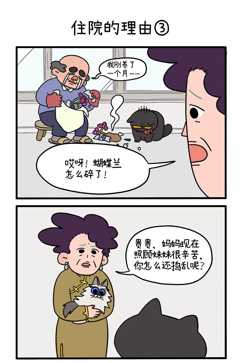 第16话1 住院的理由4