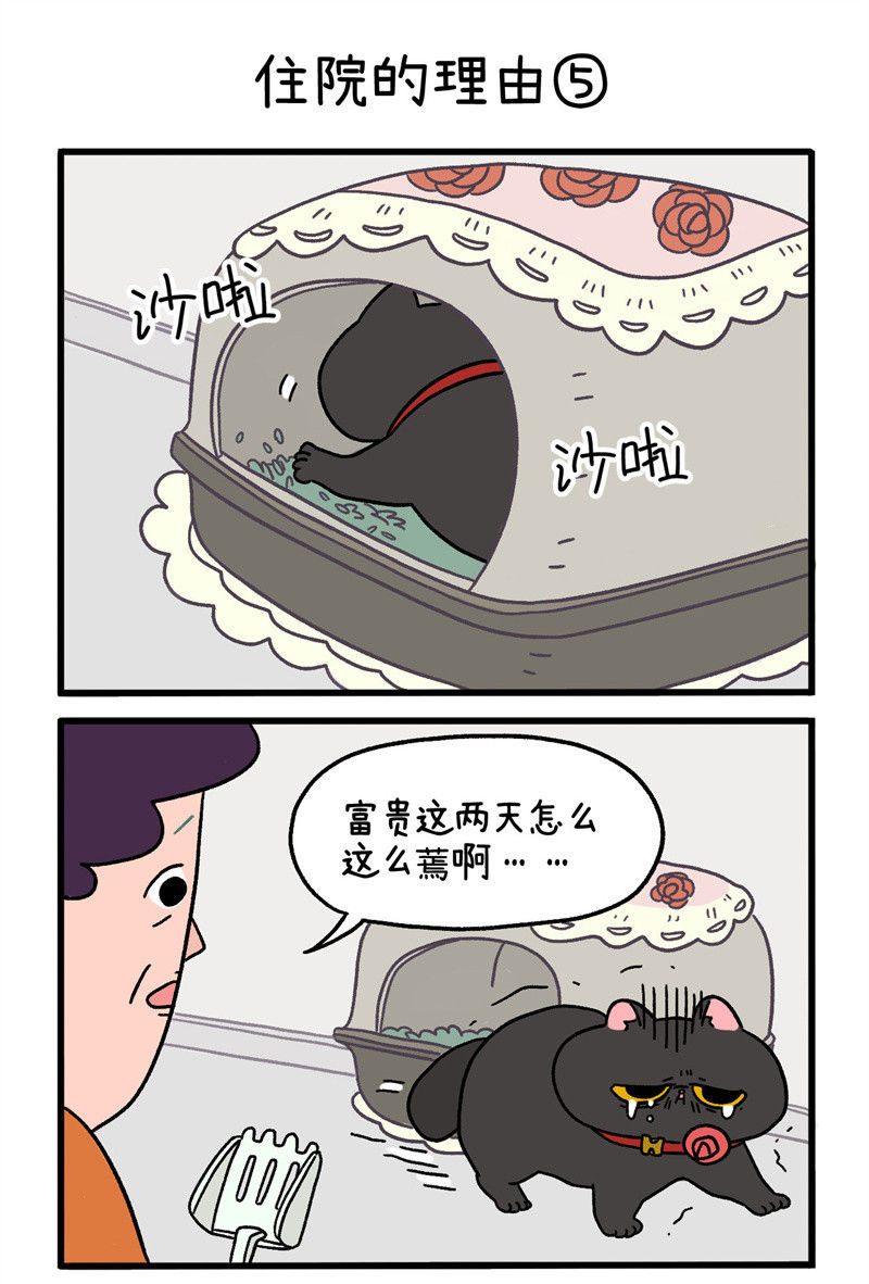 第16话2 住院的理由2