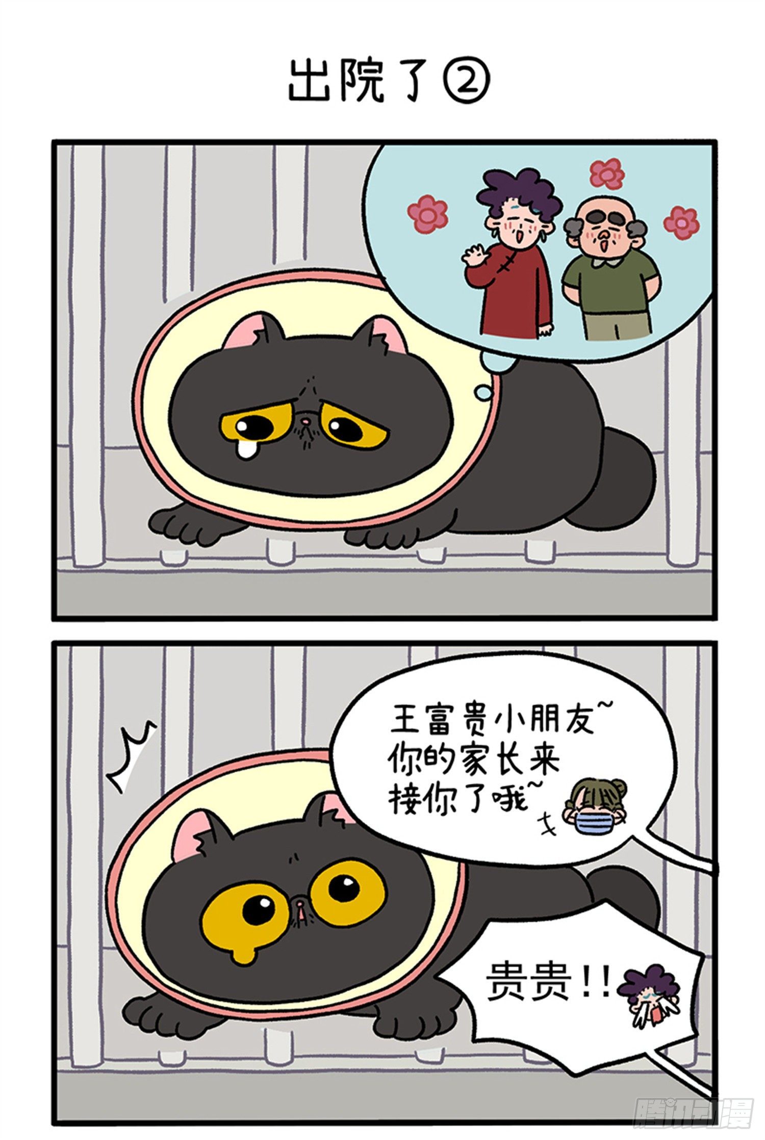 第21话 出院了2