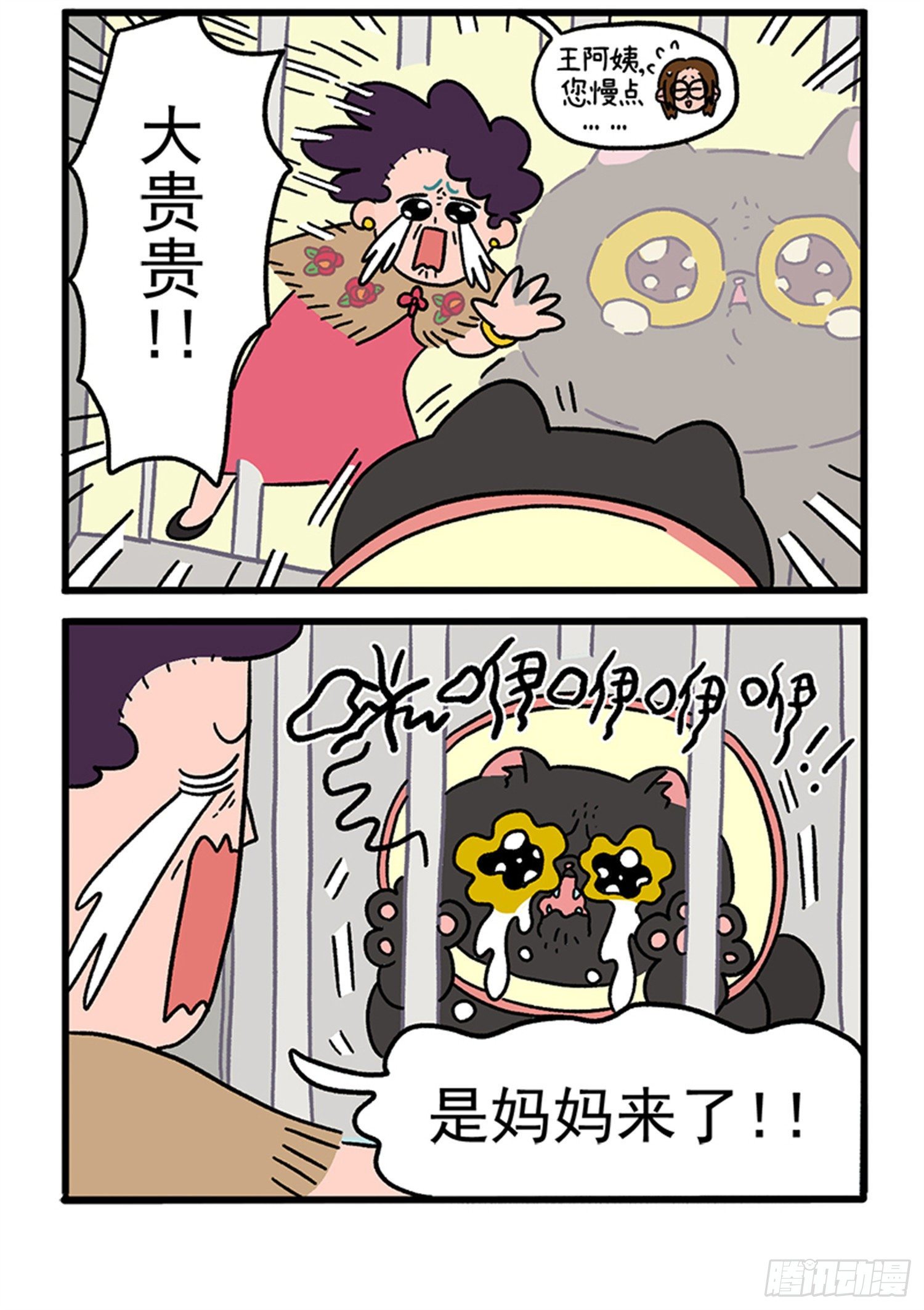 第21话 出院了3