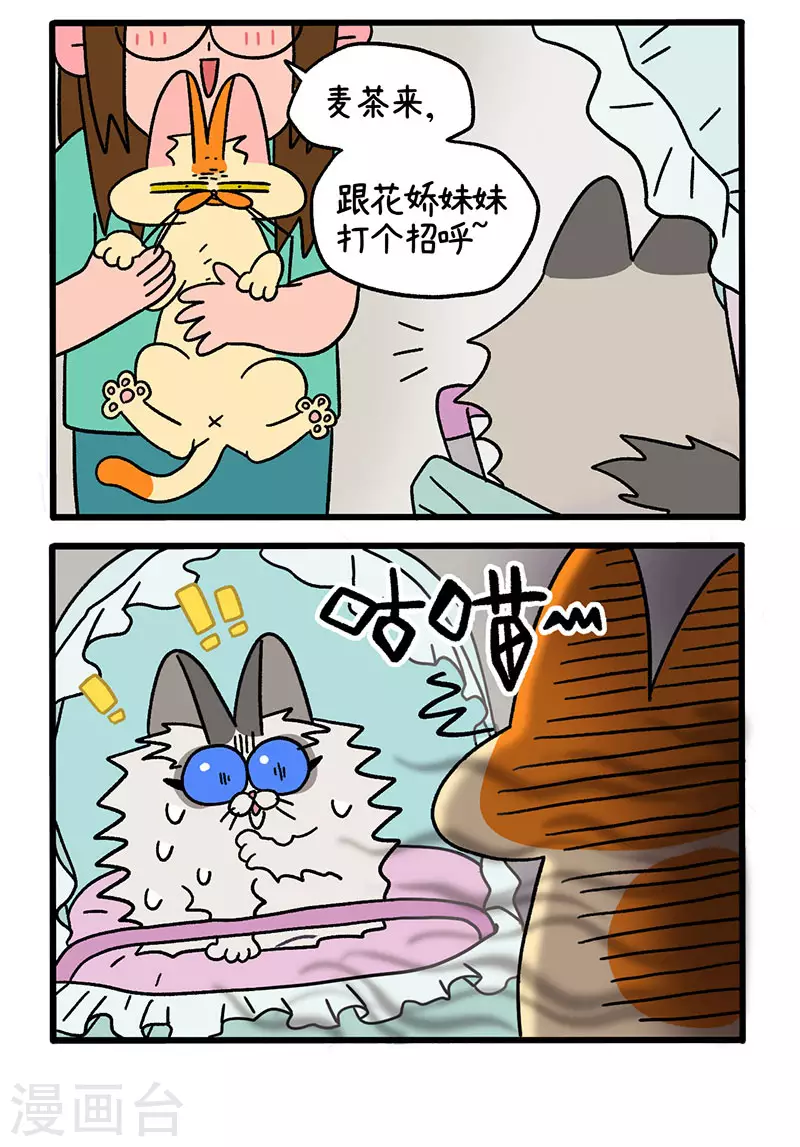 第33话 医院偶遇1