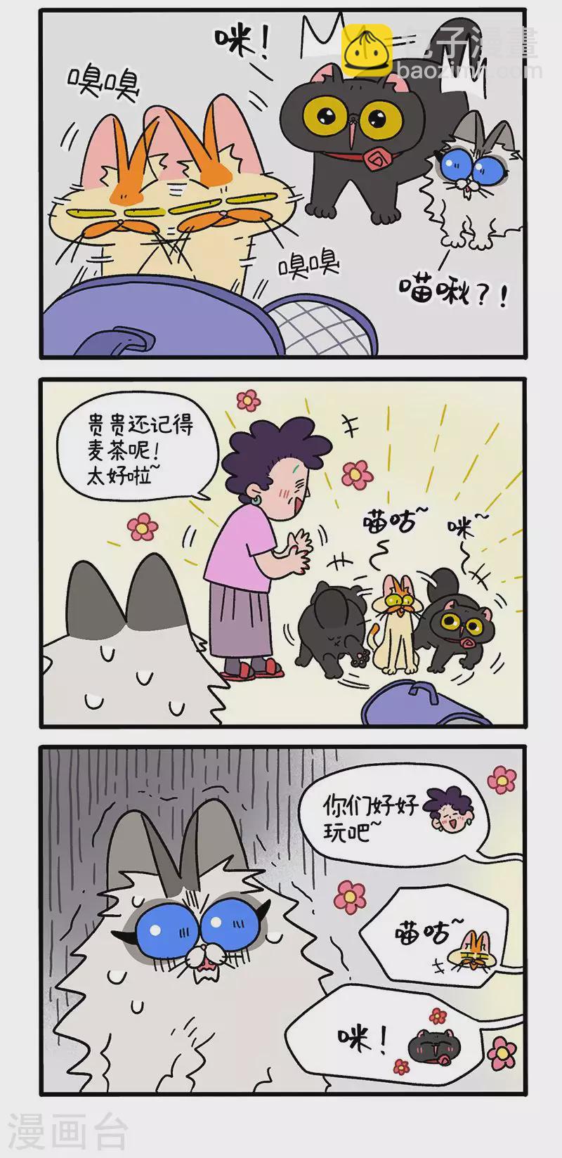 第35话1 麦茶来了2