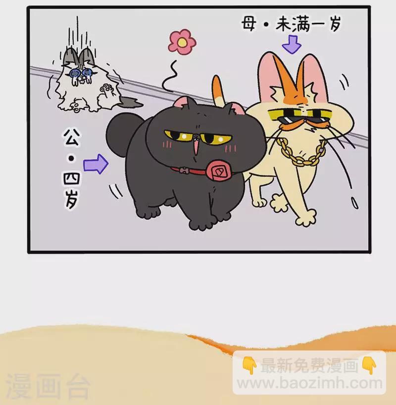 第35话1 麦茶来了4