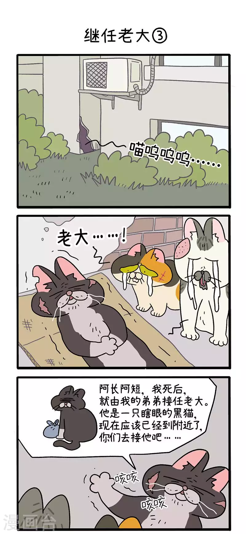 第37话1 继任老大3