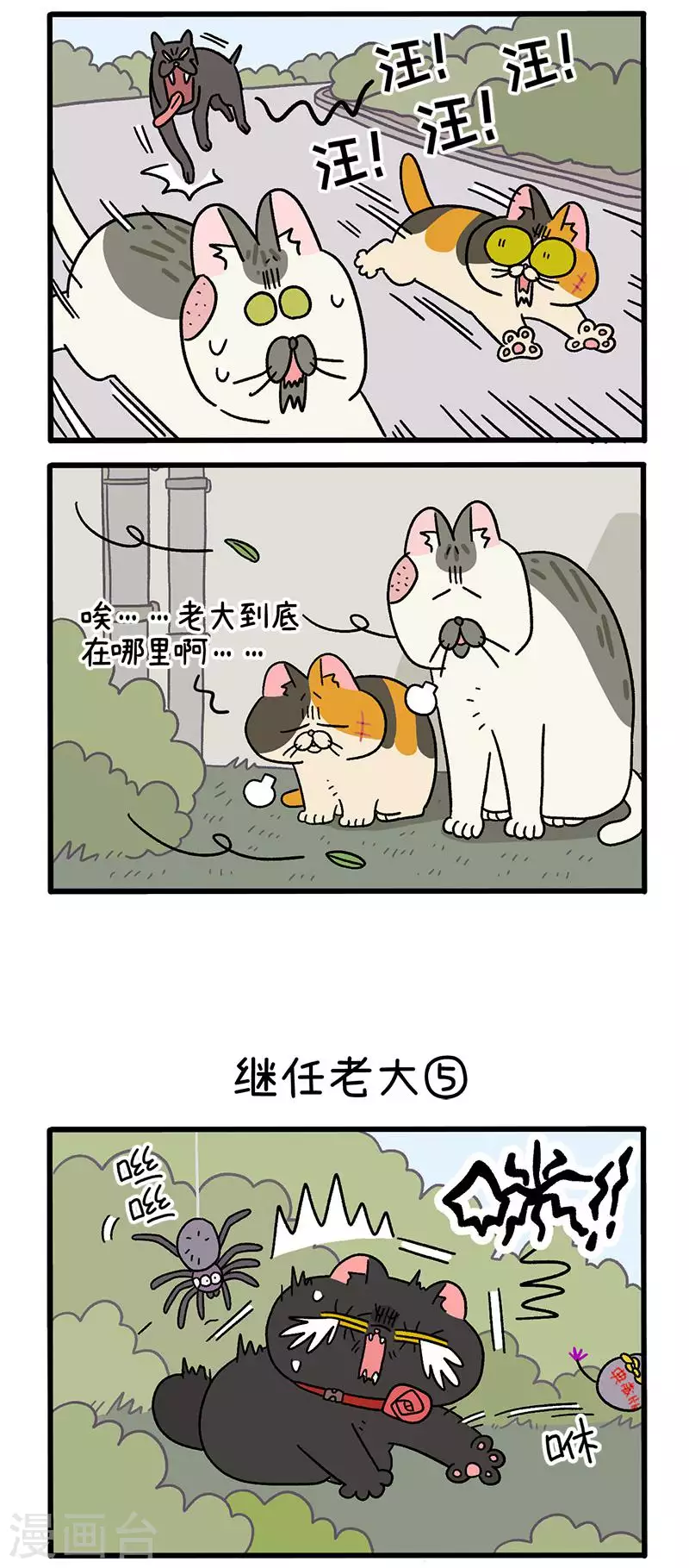 第37话2 继任老大1
