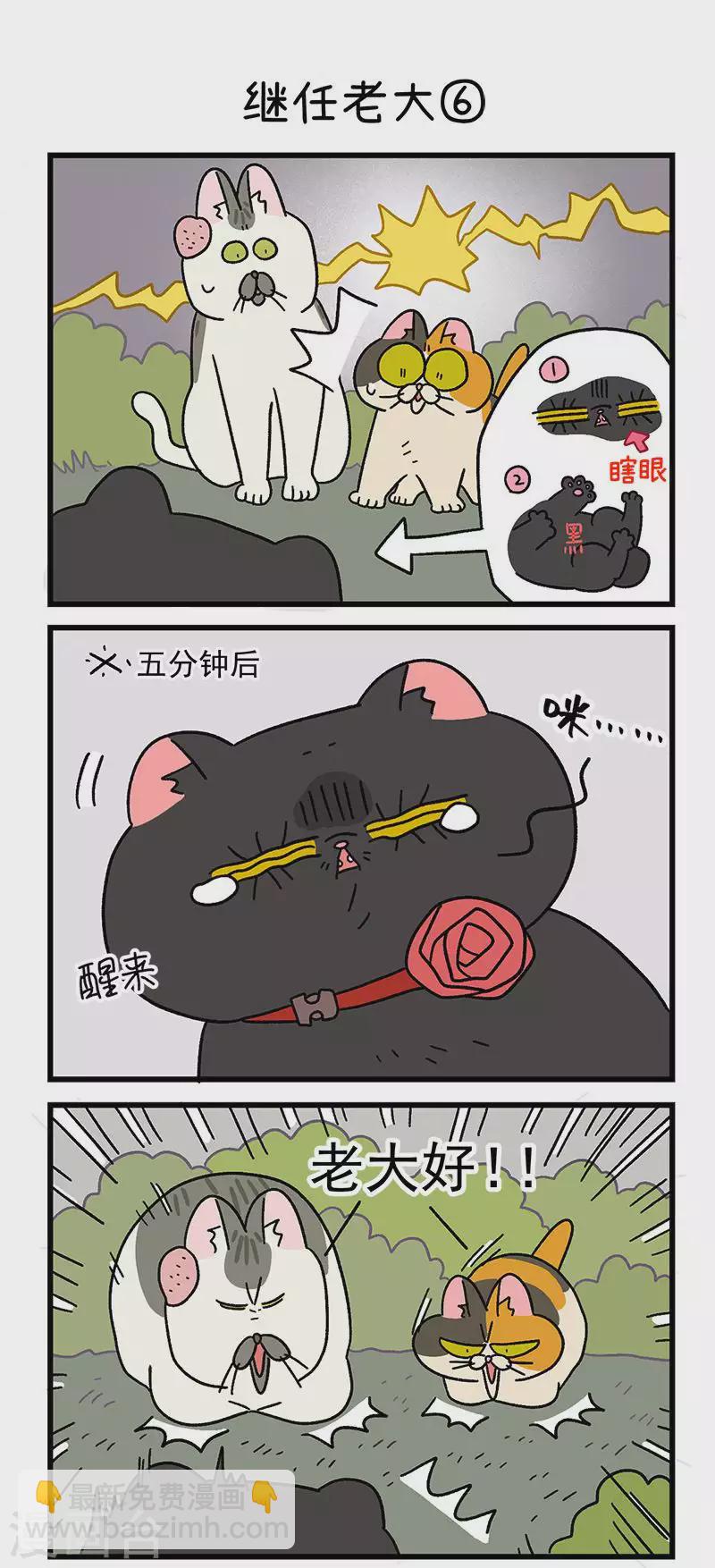 第37话2 继任老大3