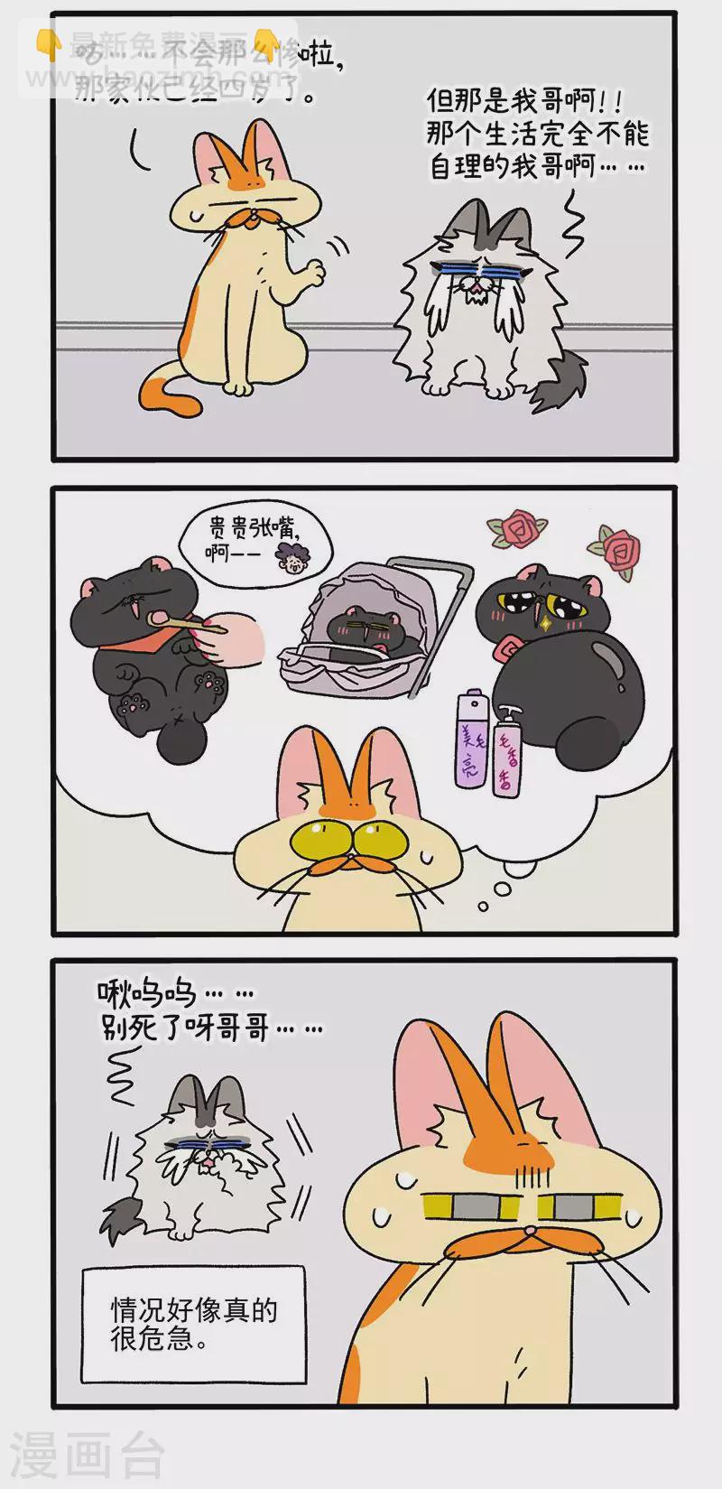 第39话2 怎么办才好2