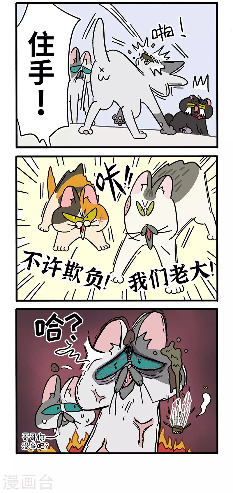 第40话2 老大的危机1