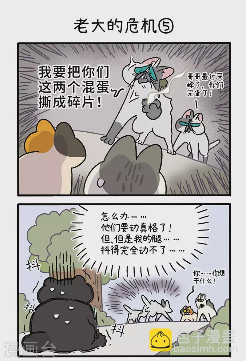 第40话2 老大的危机2