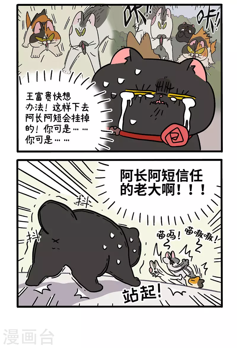 第40话2 老大的危机3