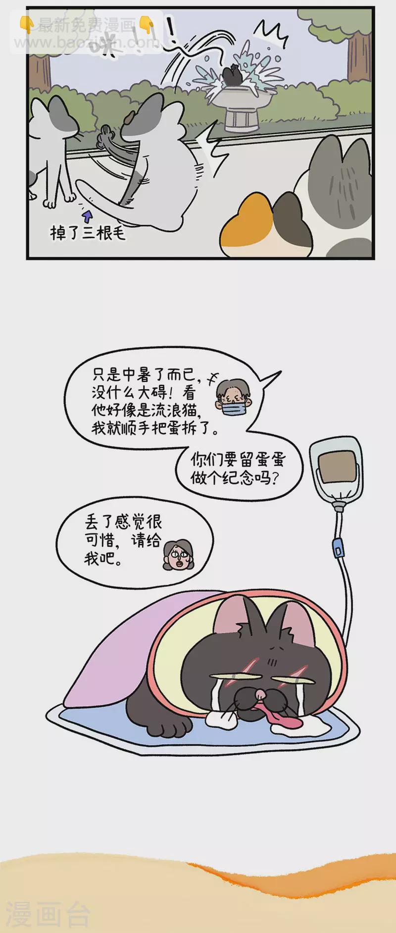 第40话2 老大的危机5