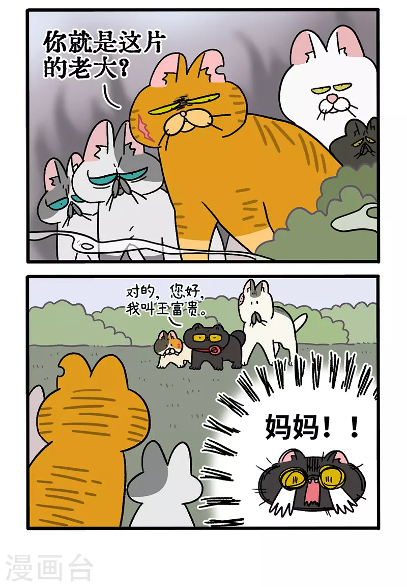 第43话1 帮派之争1