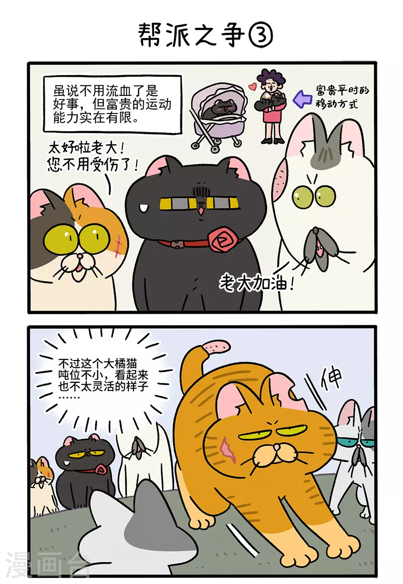 第43话1 帮派之争3