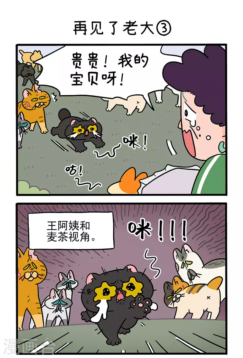 第45话1 再见了老大3