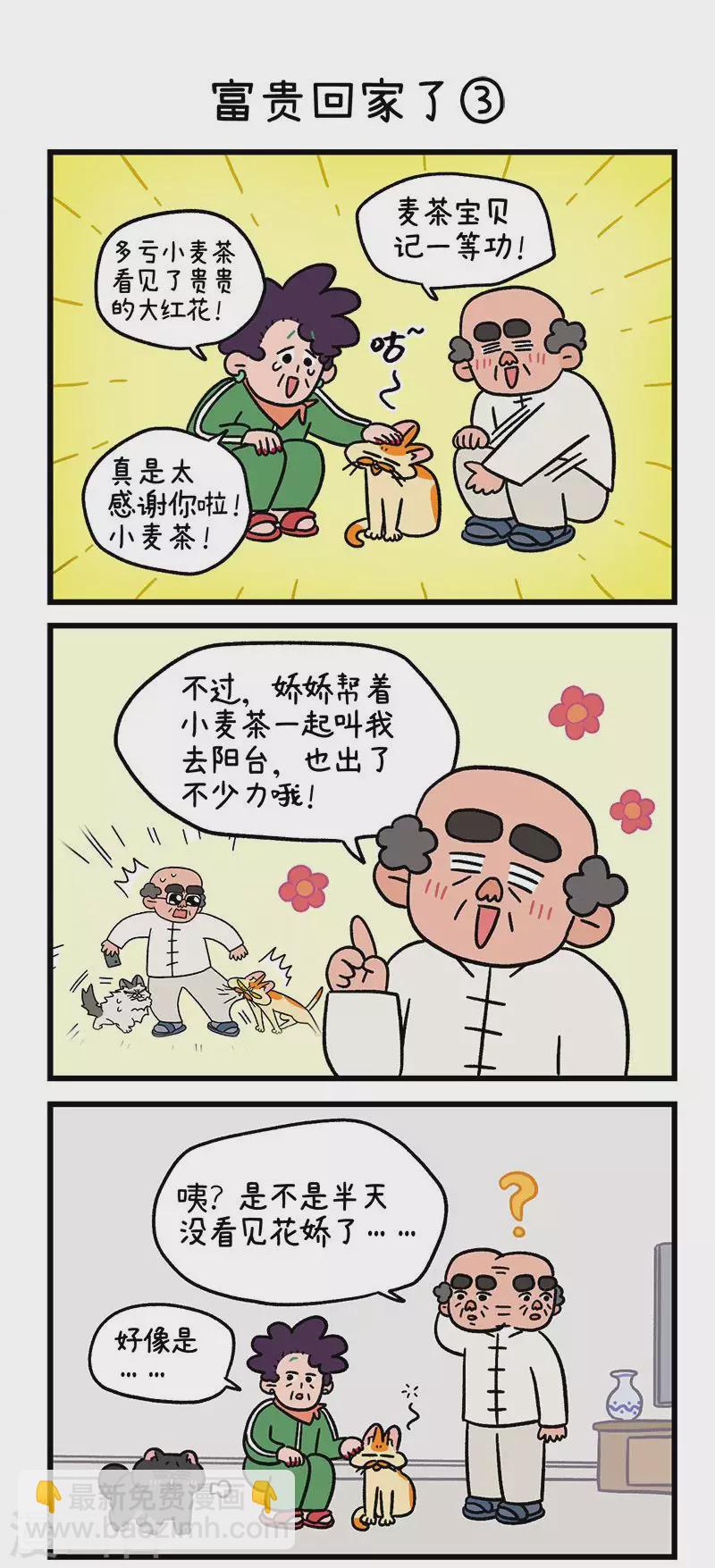 第46话 富贵回家了3