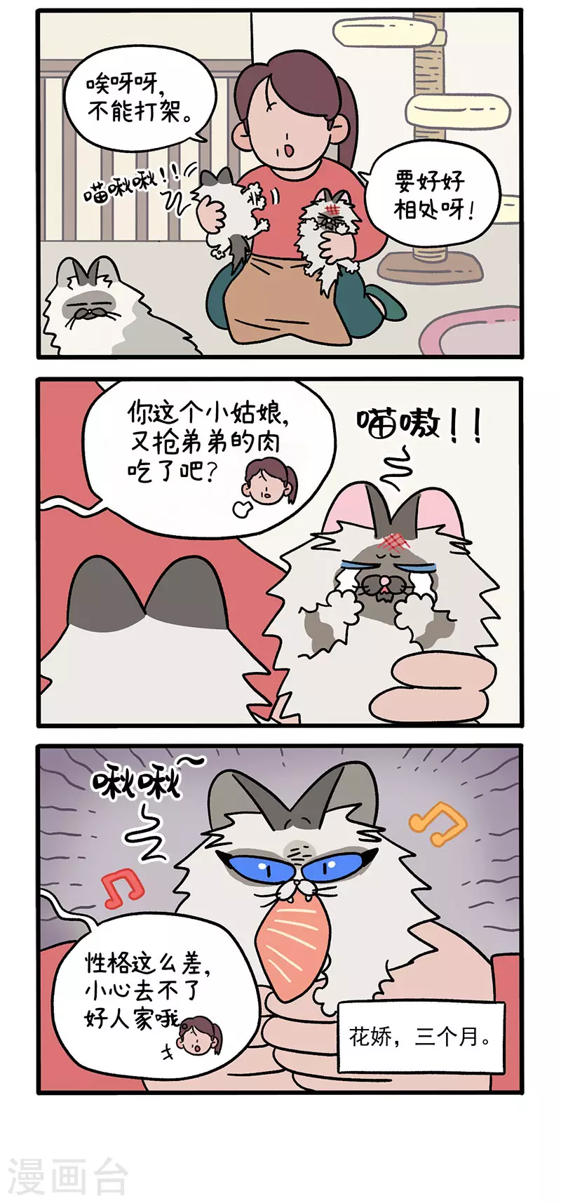 第47话1 花娇的过去1