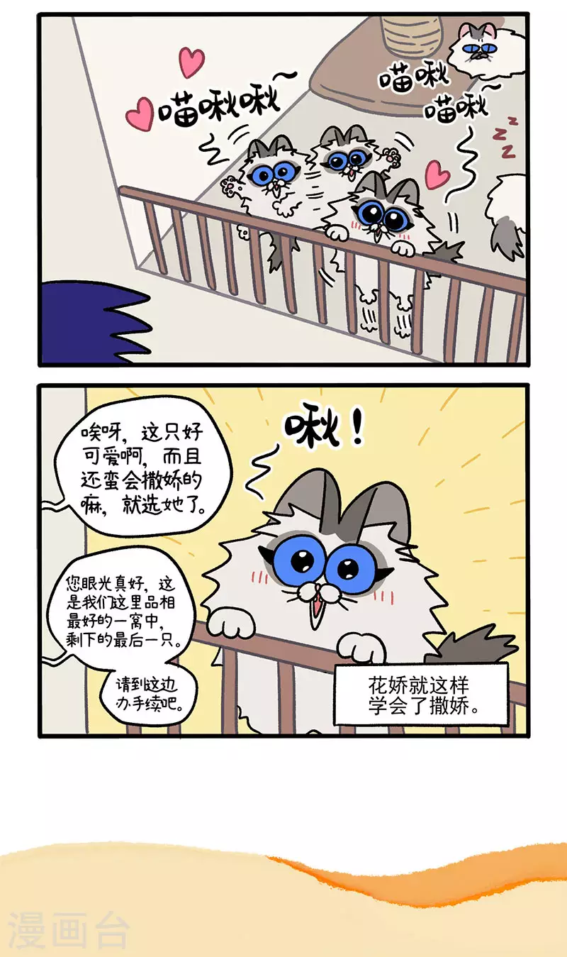 第47话1 花娇的过去4