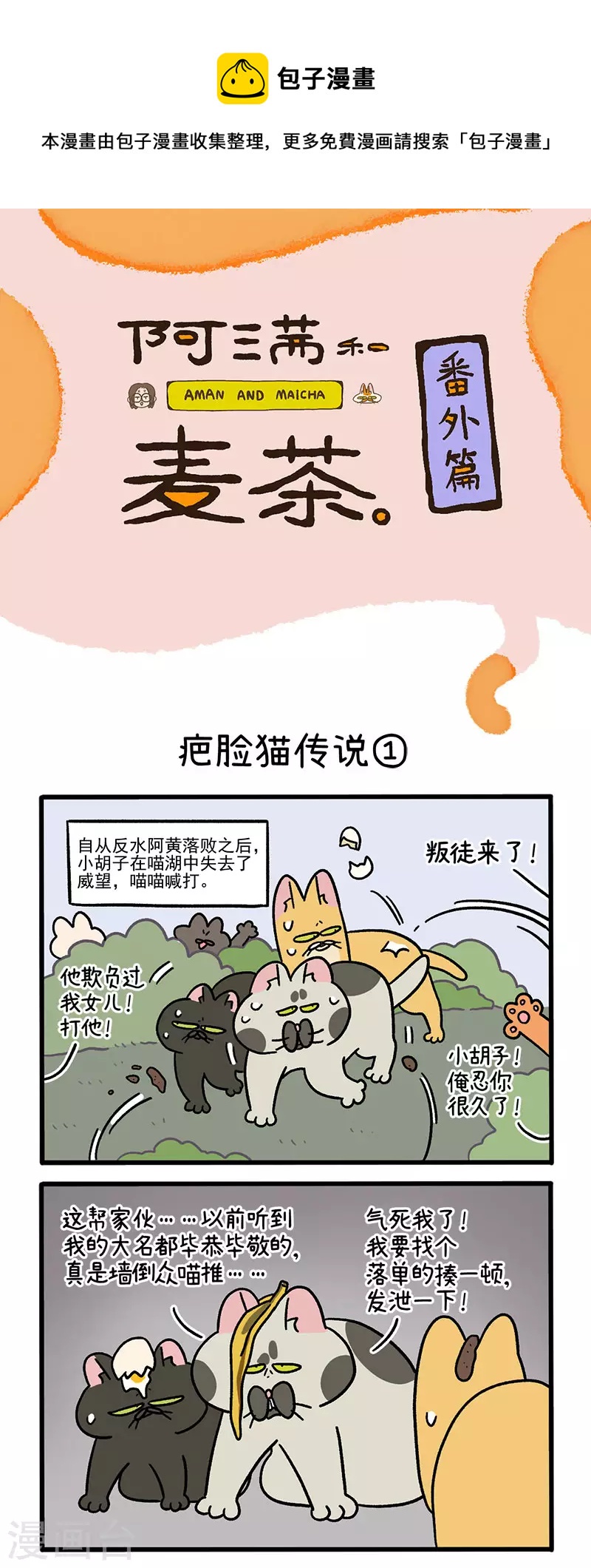 番外10 疤脸猫传说0