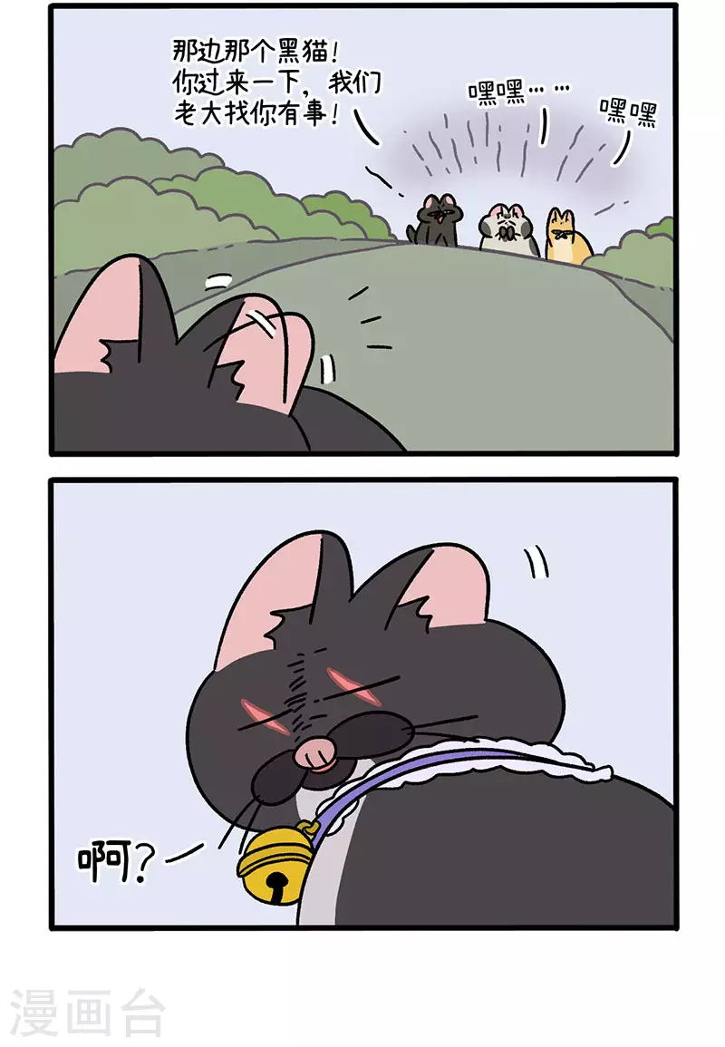 番外10 疤脸猫传说1