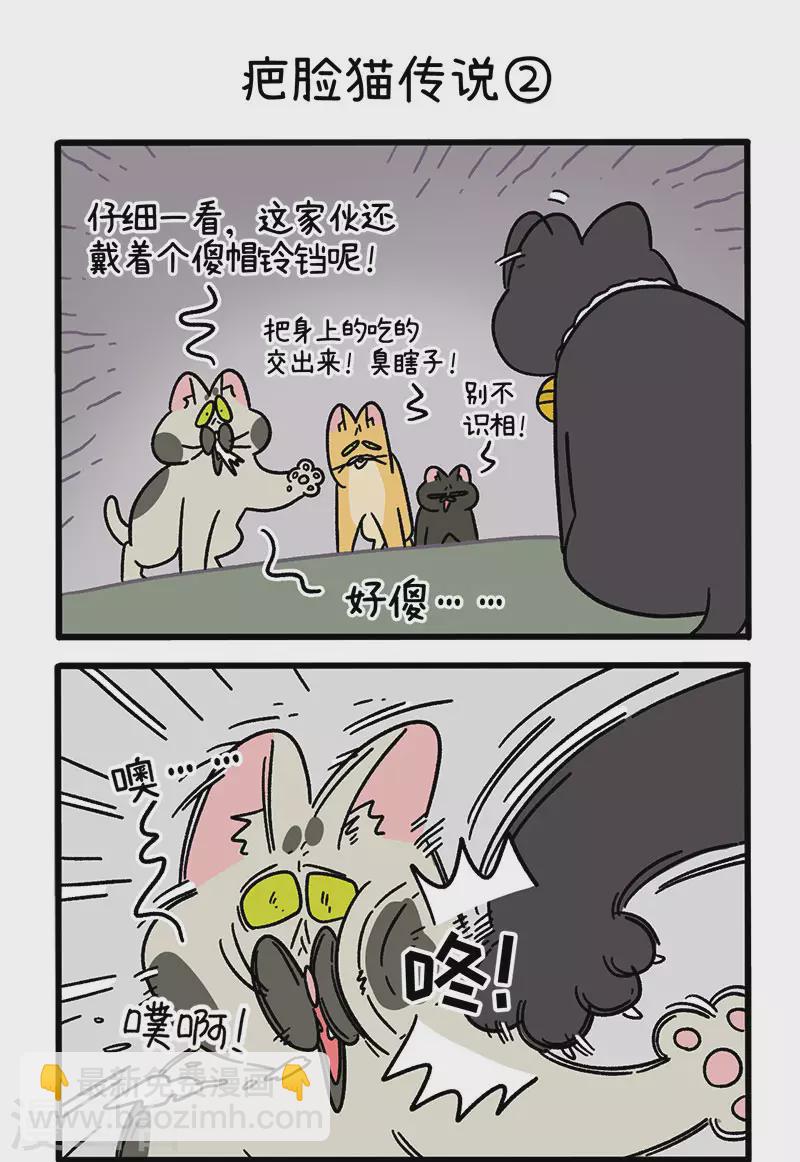 番外10 疤脸猫传说2