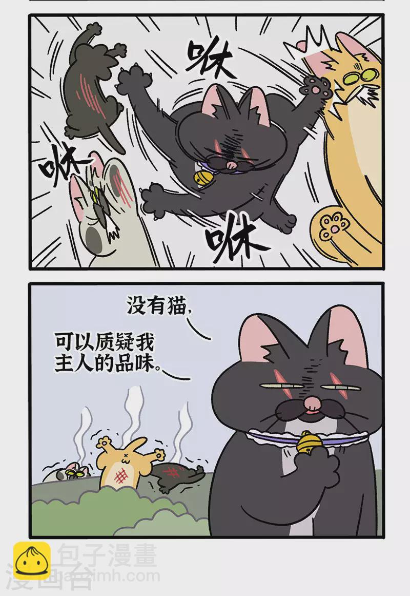 番外10 疤脸猫传说3