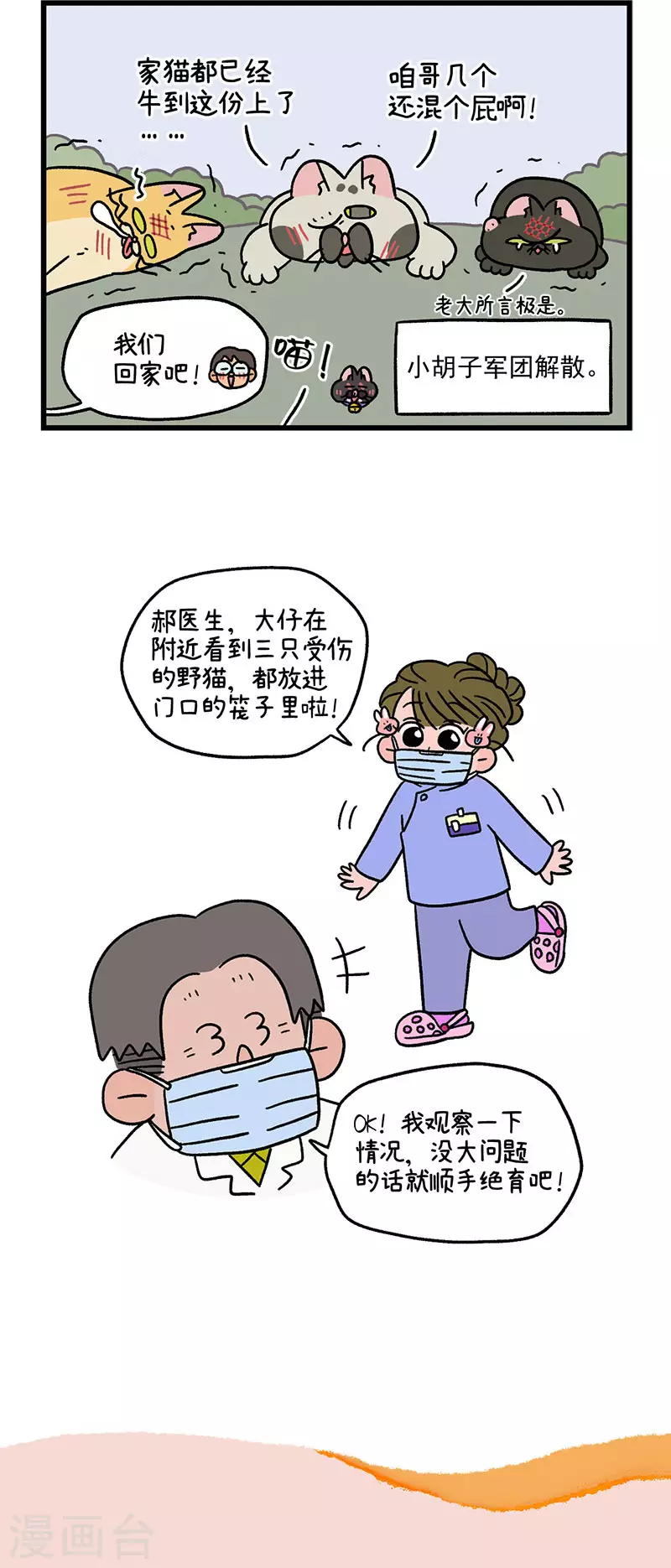 番外10 疤脸猫传说5