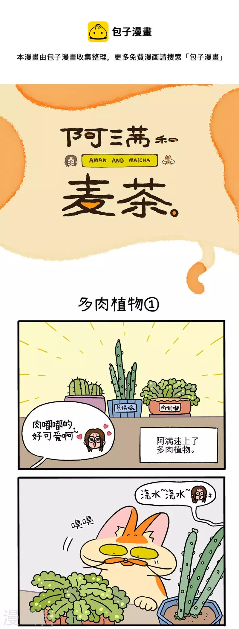 第57话 多肉植物0