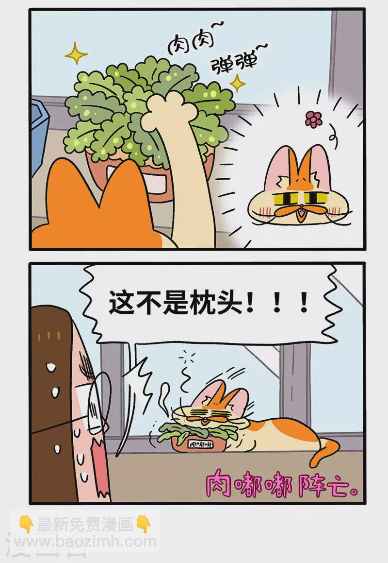 第57话 多肉植物1