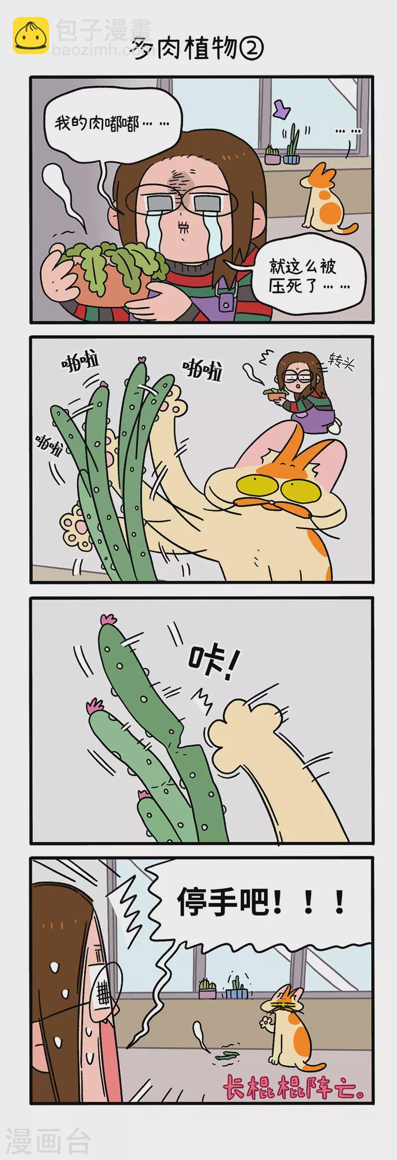 第57话 多肉植物2