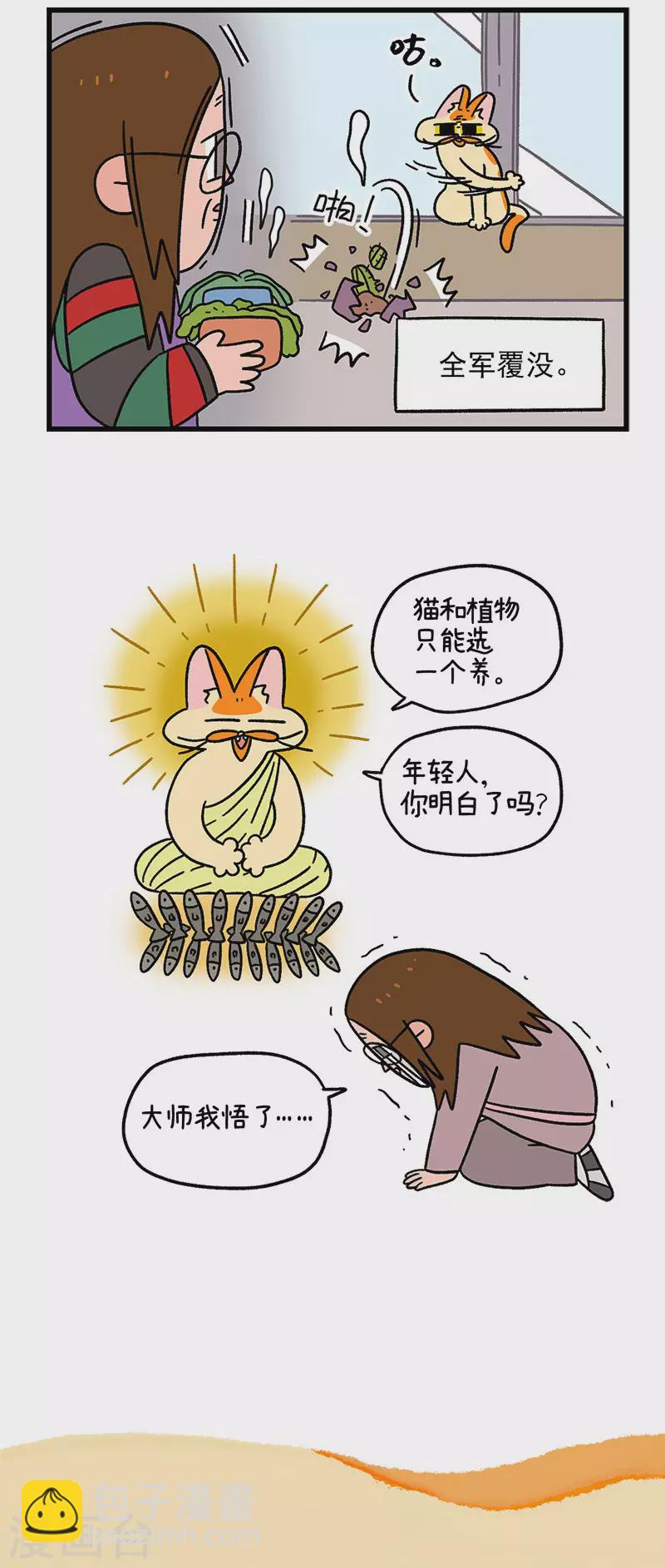 第57话 多肉植物4