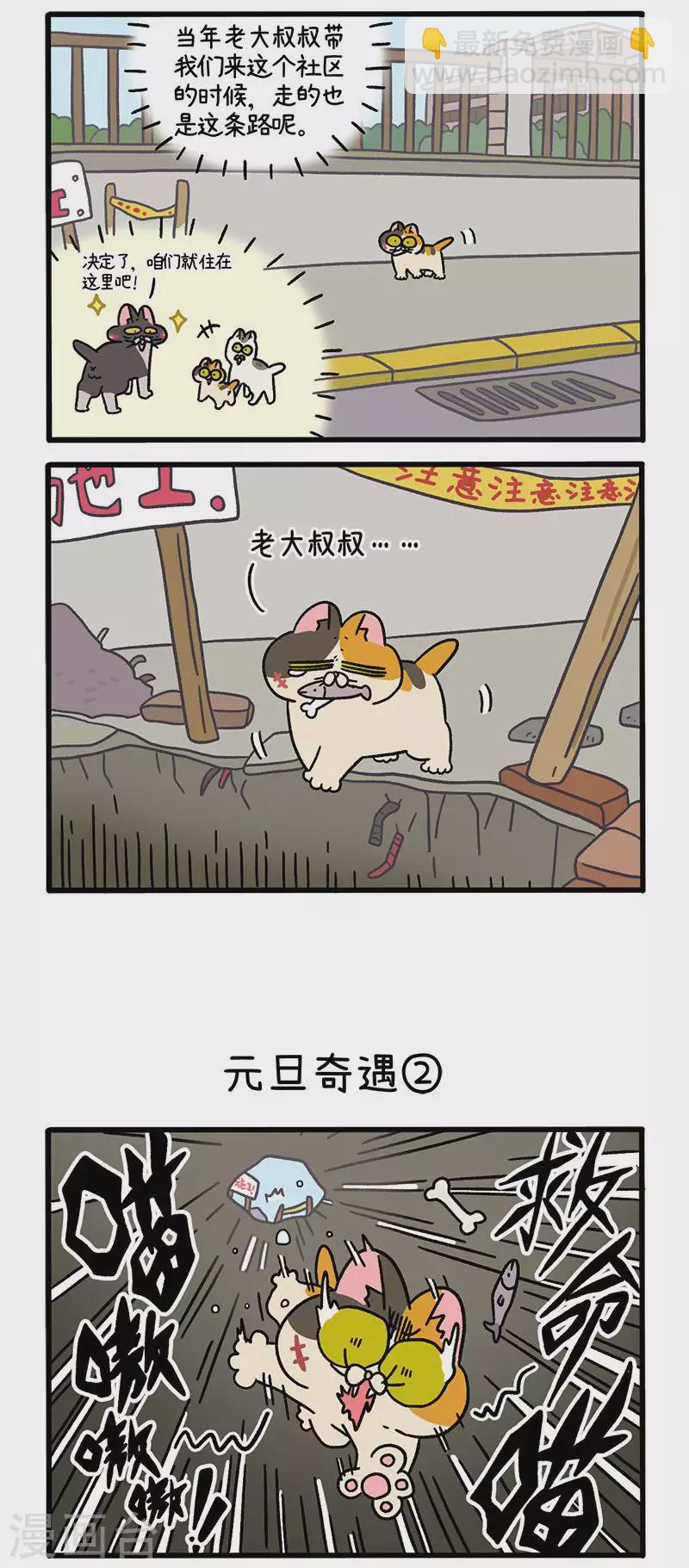 番外13上 元旦奇遇1