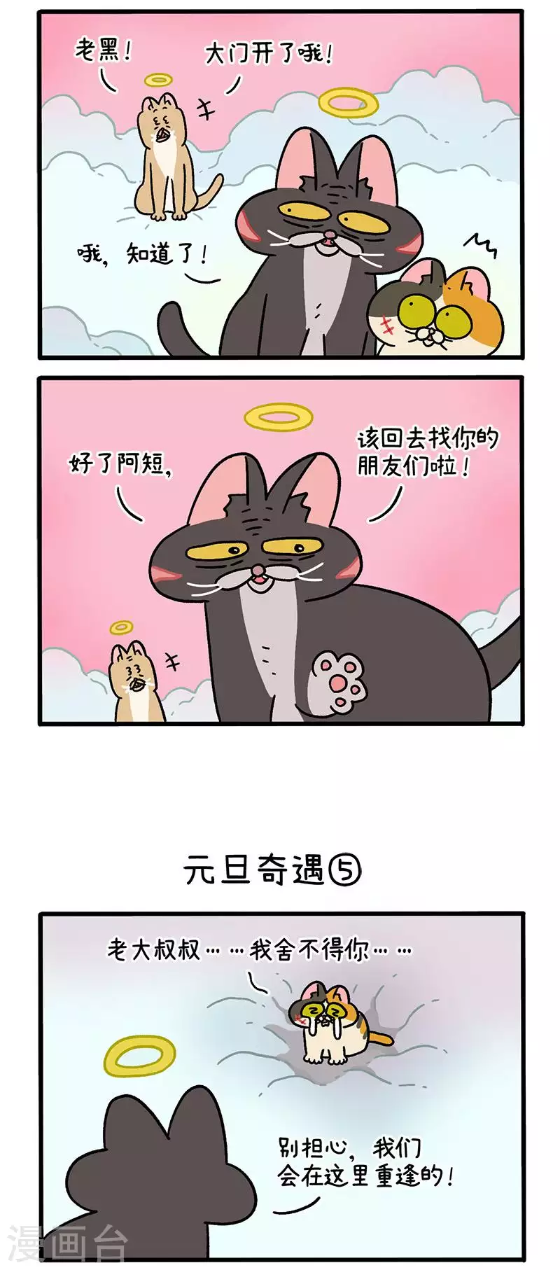 番外13下 元旦奇遇1