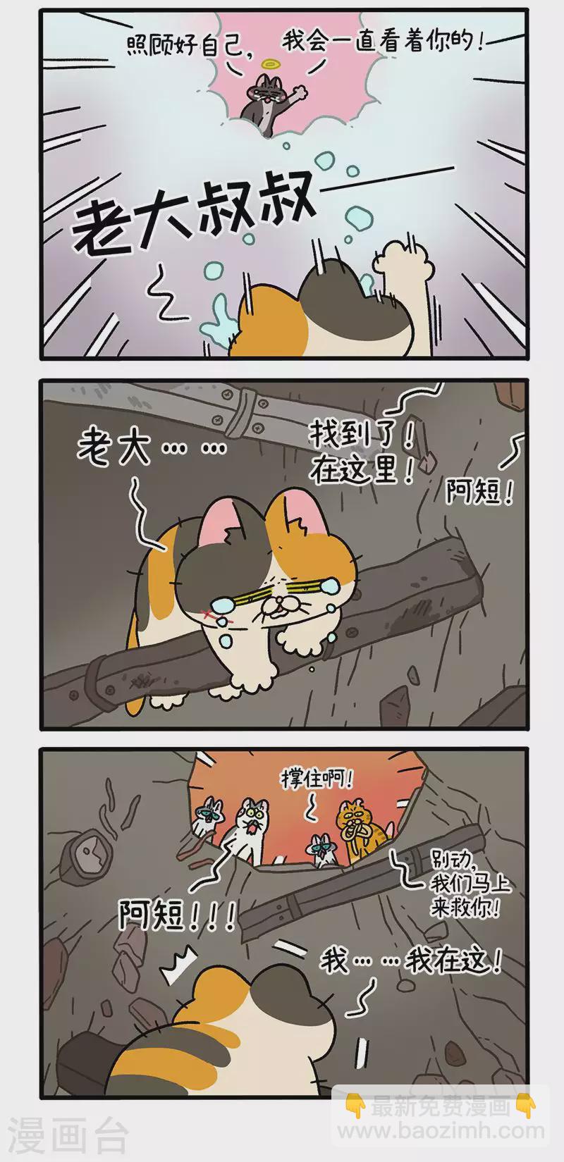 番外13下 元旦奇遇2