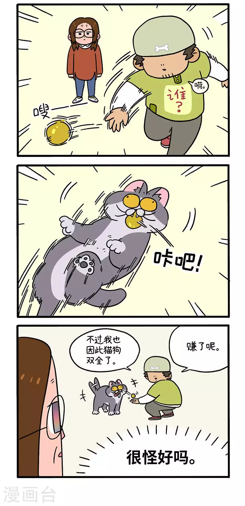 第65话1 公司的猫咪聚会2