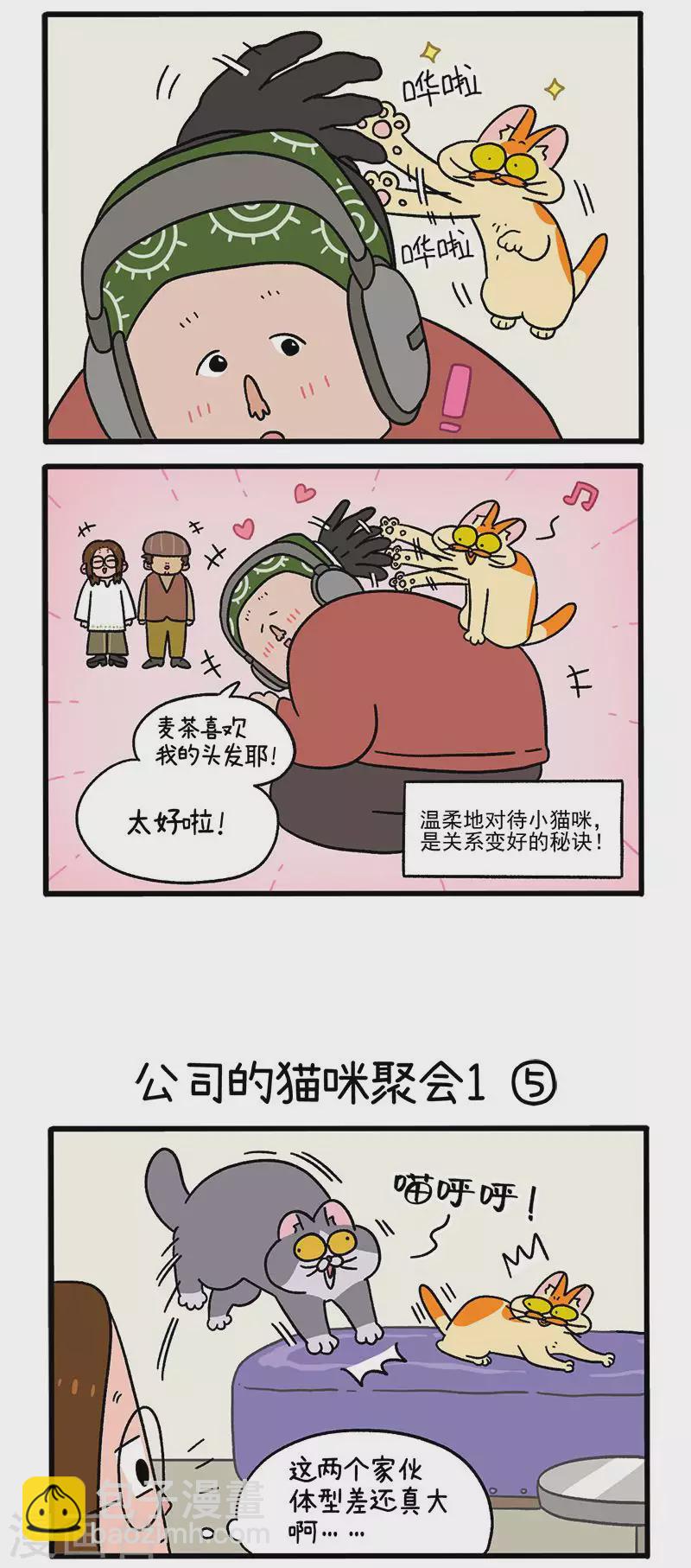第65话2 公司的猫咪聚会1