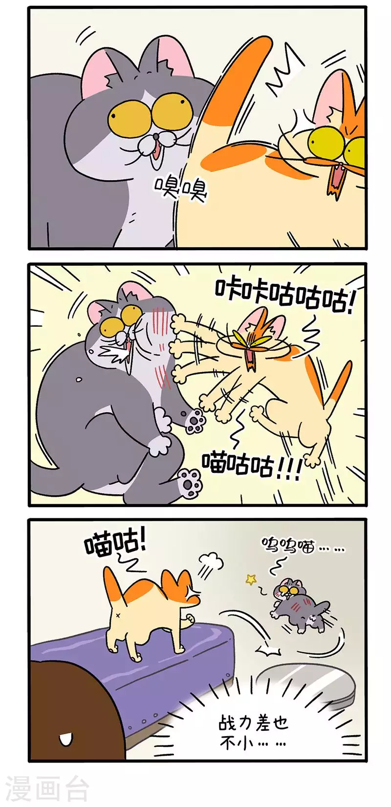 第65话2 公司的猫咪聚会2