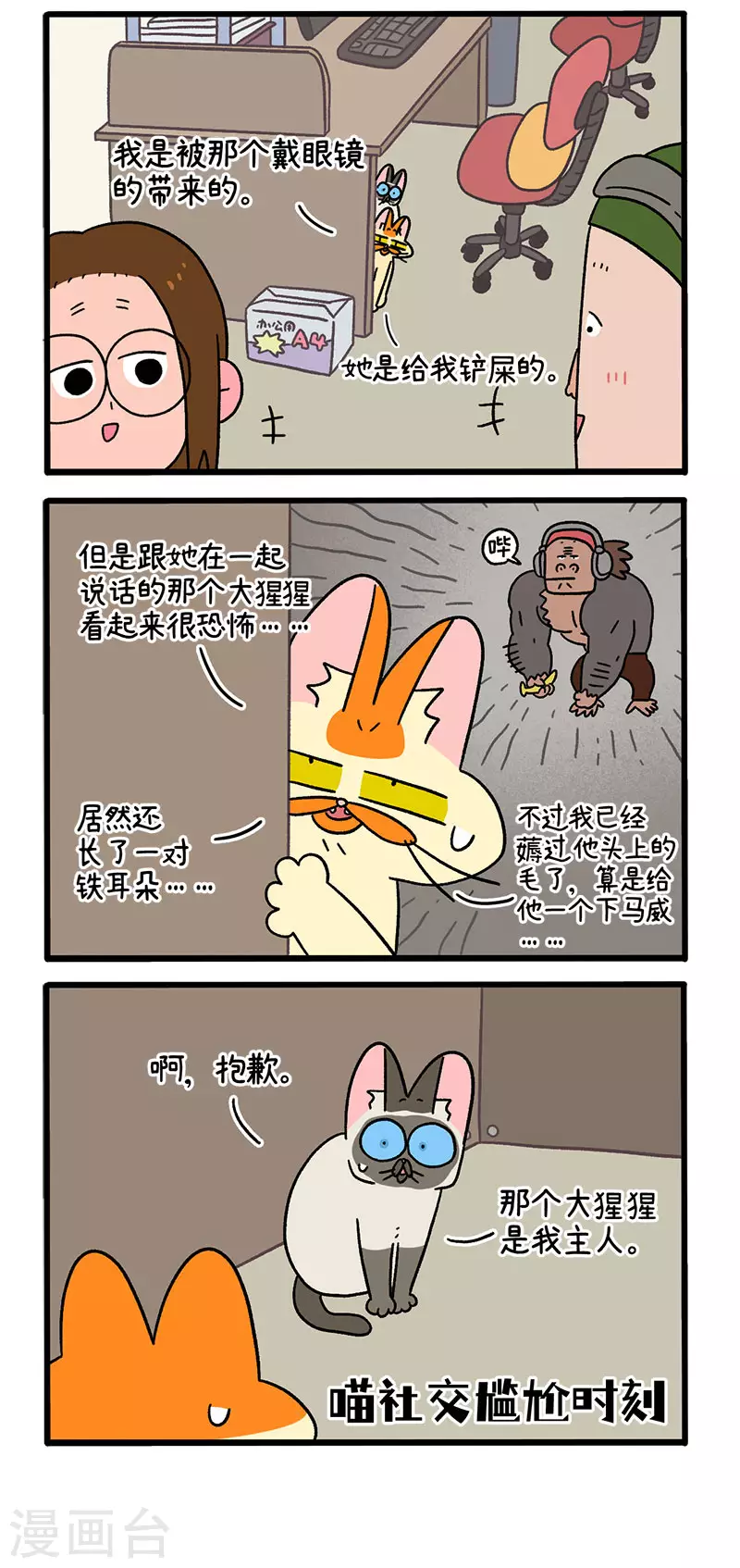 第66话2 公司的猫咪聚会21