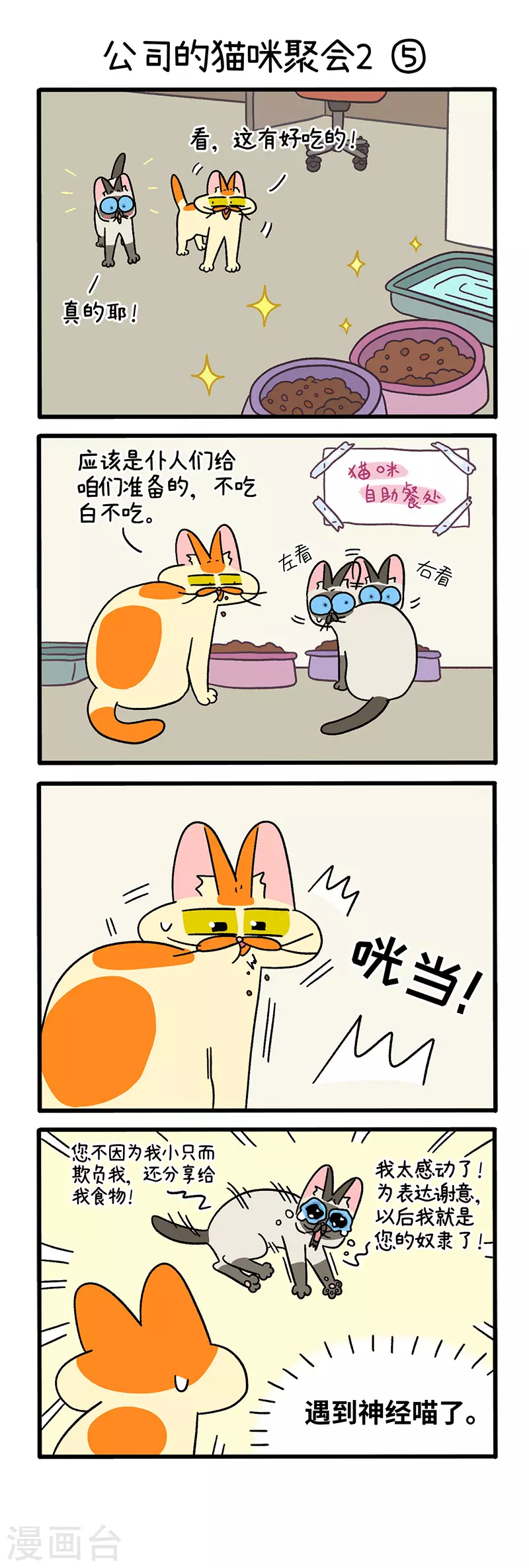 第66话2 公司的猫咪聚会22