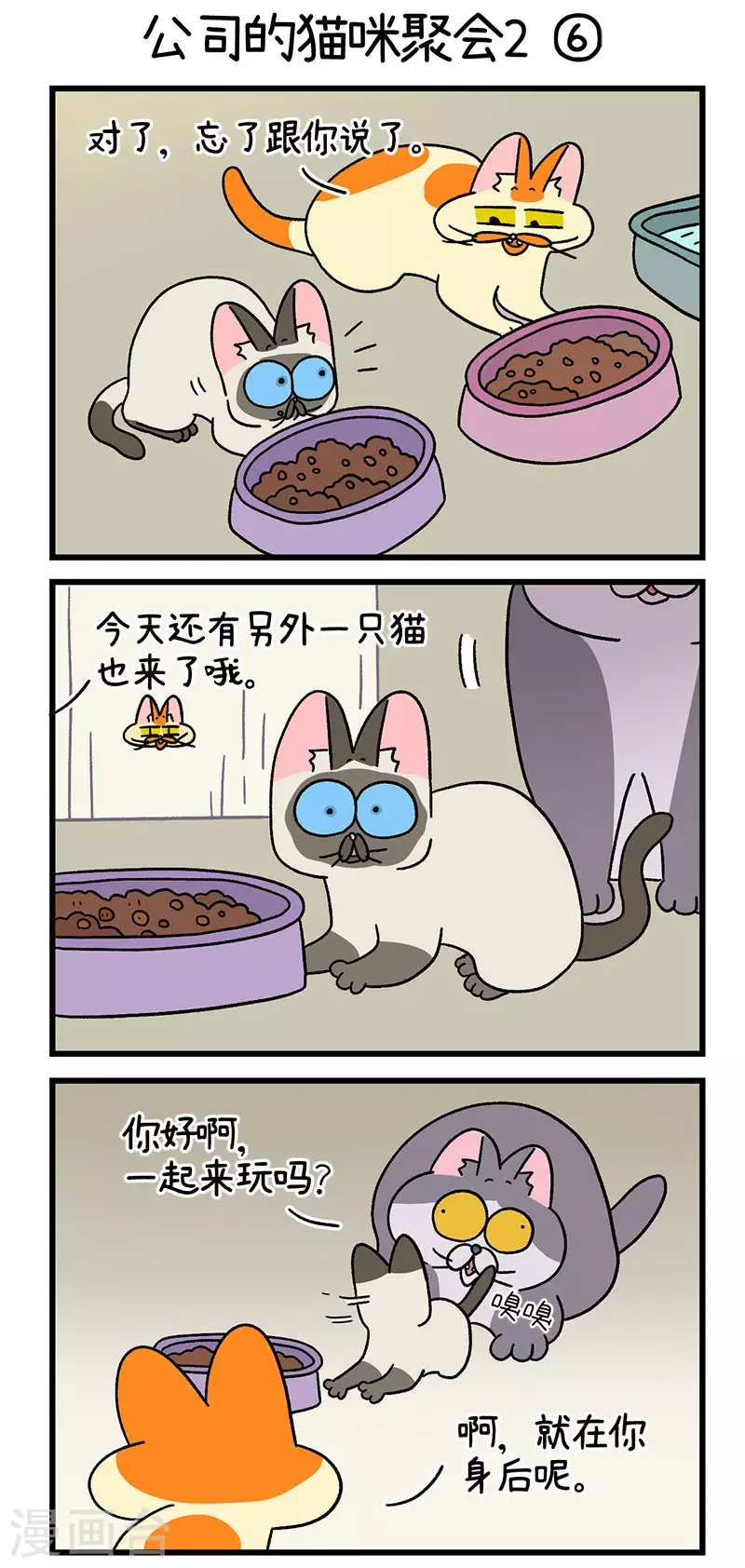第66话2 公司的猫咪聚会23