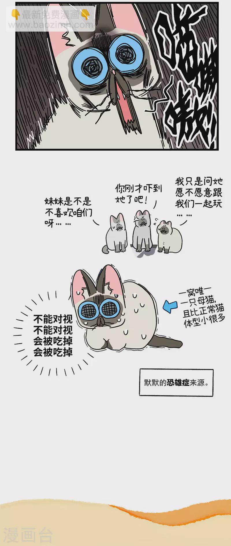 第66话2 公司的猫咪聚会24
