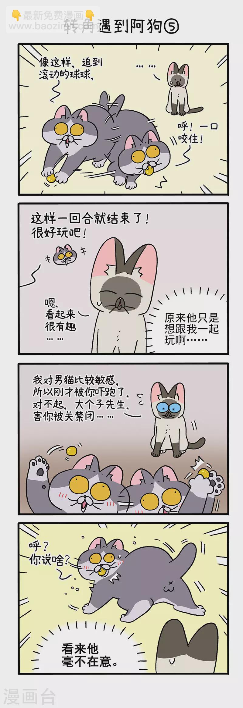 第71话2 转角遇到阿狗2