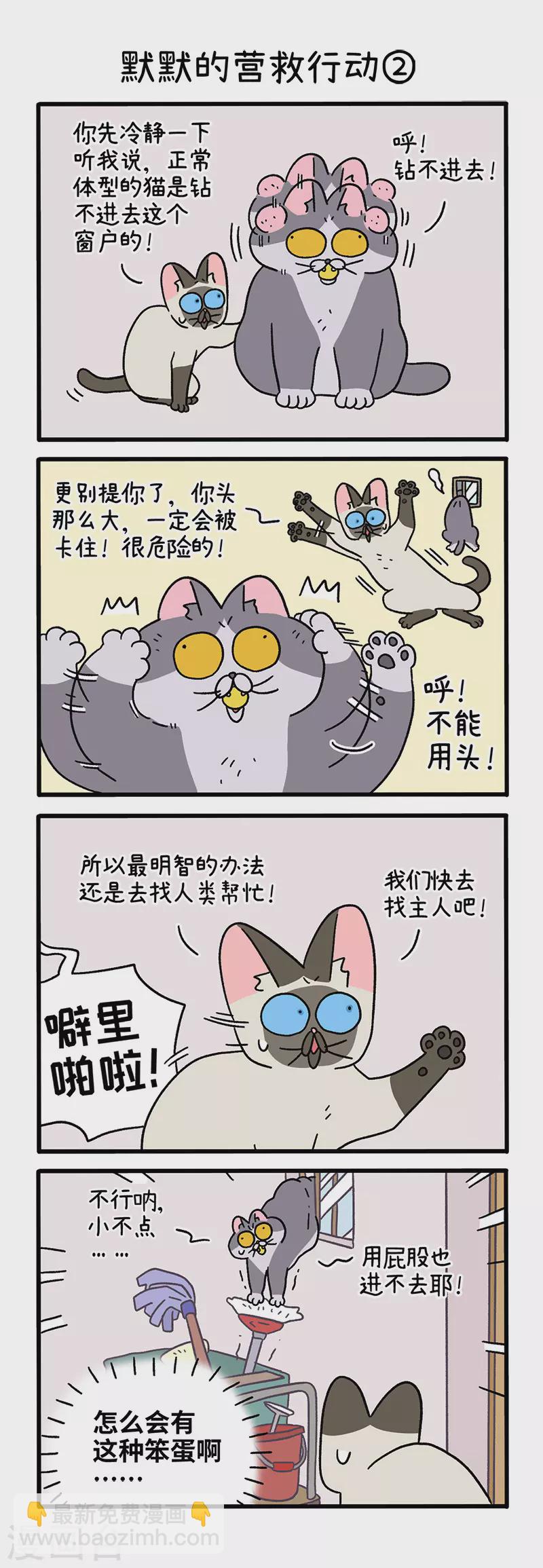 第72话1 默默的营救行动2