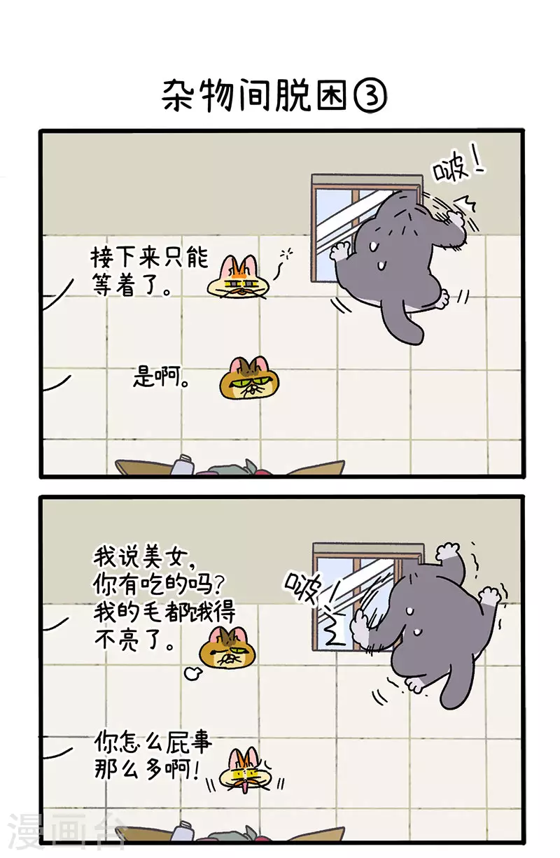 第73话1 杂物间脱困3