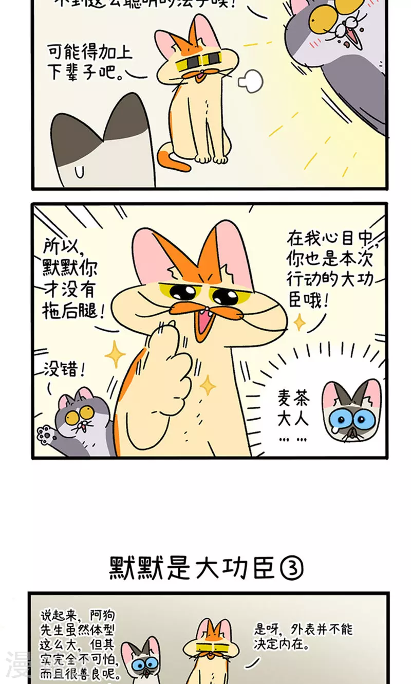 第79话 默默是大功臣3